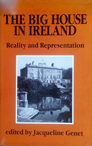 Imagen de archivo de The Big House in Ireland: Reality and Representation a la venta por Recycle Bookstore