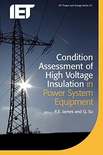 Beispielbild fr Condition Assessment of High Voltage Insulation in Power System Equipment zum Verkauf von Revaluation Books
