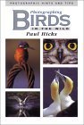 Imagen de archivo de Photographing Birds in the Wild: Photographic Hints and Tips a la venta por Ergodebooks
