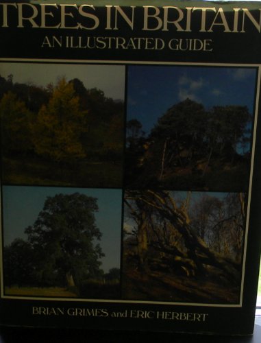 Imagen de archivo de Trees in Britain: An Illustrated Guide a la venta por AwesomeBooks