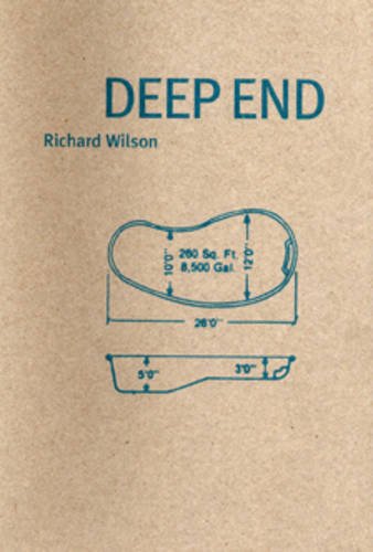 9780863552991: Richard Wilson: Deep End