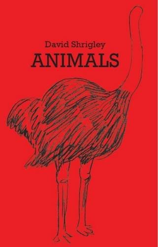 Beispielbild fr David Shrigley: Animals zum Verkauf von WorldofBooks