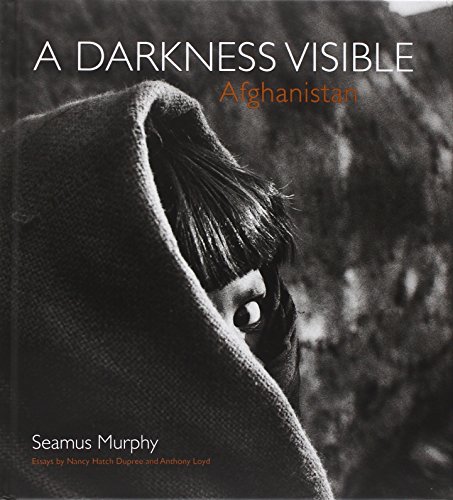 Stock image for A Darkness Visible for sale by Moe's Books