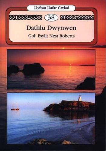 Stock image for Dic Dywyll Y Baledwr for sale by Lady Lisa's Bookshop