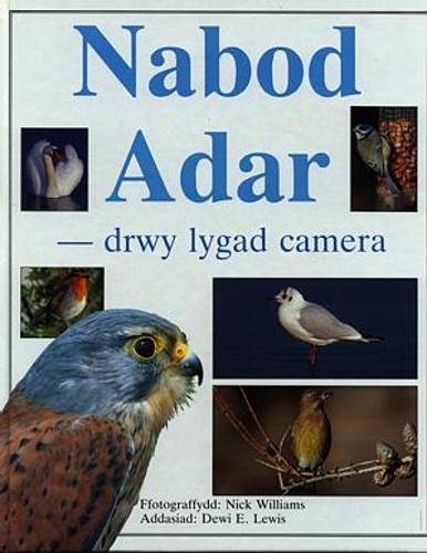 9780863813245: Nabod Adar - Drwy Lygad Camera