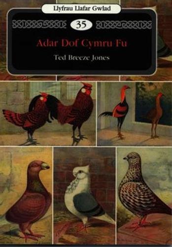 Stock image for Llyfrau Llafar Gwlad:35. Adar Dof Cymru Fu for sale by AwesomeBooks