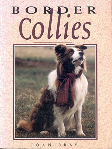 Imagen de archivo de Border Collies a la venta por BooksRun