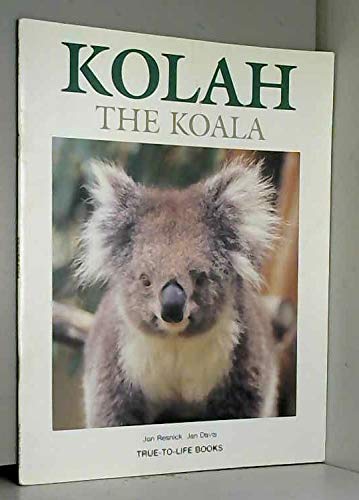 Stock image for Kolah the Koala for sale by medimops