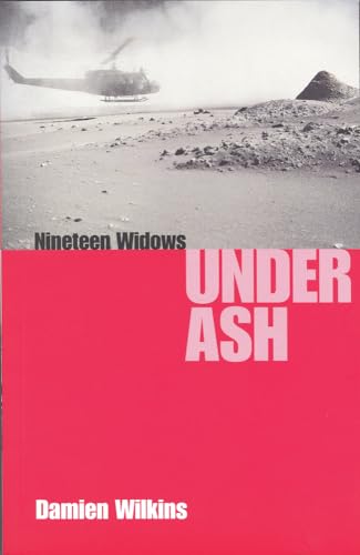 Beispielbild fr Nineteen windows under ash zum Verkauf von Book Express (NZ)