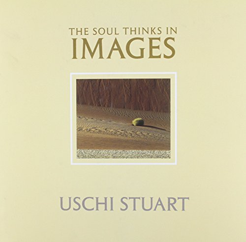 Imagen de archivo de The Soul Thinks in Images a la venta por Steven Edwards