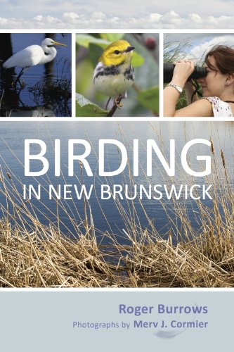 Birding in New Brunswick (9780864926180) by Burrows, Roger
