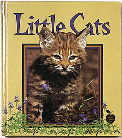 9780865056114: Little Cats