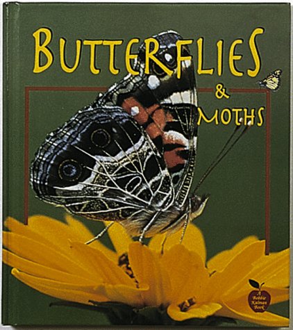 Imagen de archivo de Butterflies and Moths a la venta por Better World Books