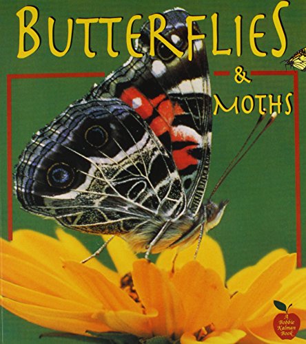 Imagen de archivo de Butterflies and Moths (Crabapples) a la venta por SecondSale