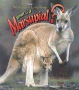 Stock image for What is a Marsupial? (The Science of Living Things) for sale by BookHolders