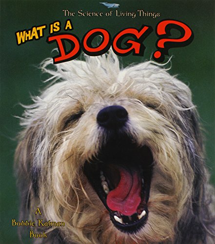 Stock image for What Is a Dog? for sale by Brickyard Books