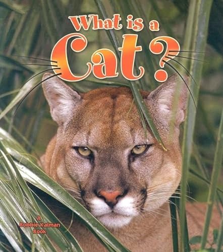 Imagen de archivo de What Is a Cat? (Science of Living Things (Paperback)) a la venta por More Than Words