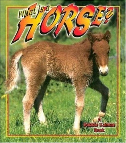 Stock image for What Is a Horse? for sale by Better World Books