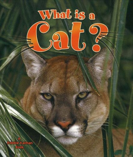 Imagen de archivo de What Is a Cat? a la venta por ThriftBooks-Dallas