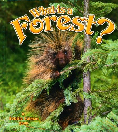 Imagen de archivo de What Is a Forest? (The Science of Living Things) a la venta por Booksavers of MD