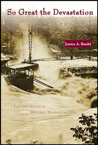 

So Great the Devastation : The 1916 Flood in Western North Carolina