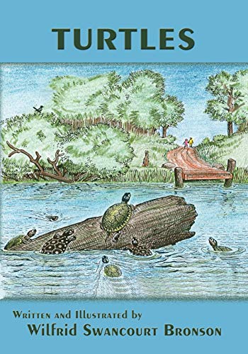 Beispielbild fr Turtles zum Verkauf von Ergodebooks