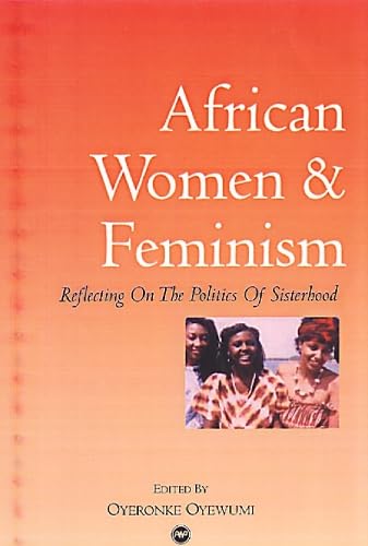 Beispielbild fr African Women And Feminism: Reflecting on the Politics of Sisterhood zum Verkauf von Monster Bookshop