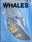 Beispielbild fr Whales: An Educational Coloring Book zum Verkauf von Wonder Book