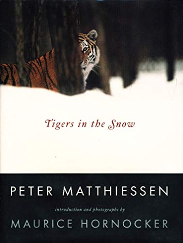 Beispielbild fr Tigers in the Snow zum Verkauf von Ergodebooks