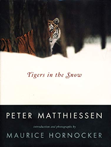 Imagen de archivo de Tigers in the Snow a la venta por Ergodebooks