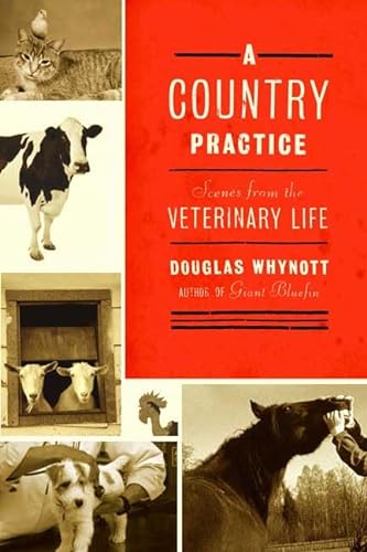 Stock image for A Country Practice : Scenes from the Veterinary Life for sale by Better World Books