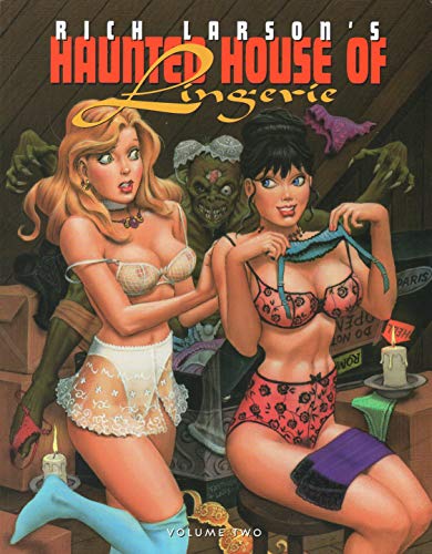 9780865620131: Haunted House of Lingerie 2: v. 2