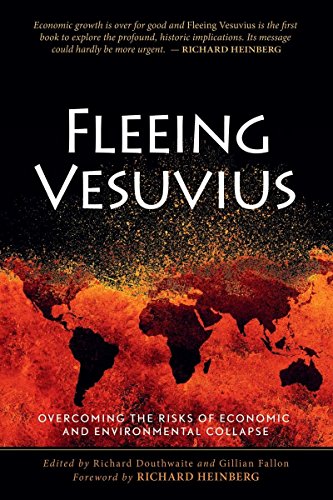 Stock image for Fleeing Vesuvius : Overcoming the Risks of Economic and Environmental Collapse for sale by Better World Books: West