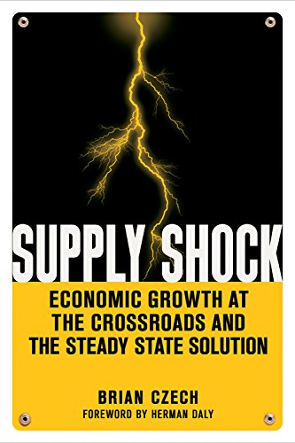 Stock image for Supply Shock: Economic Growth at the Crossroads and the Steady State Solution for sale by Jenson Books Inc