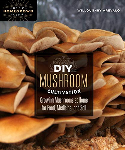 Stock image for DIY Mushroom Cultivation: Growing Mushrooms at Home for Food, Medicine, and Soil (Homegrown City Life) for sale by Russell Books