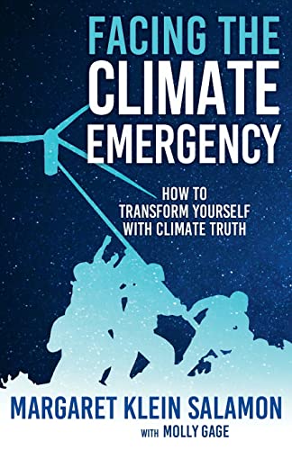 Beispielbild fr Facing the Climate Emergency: How to Transform Yourself with Climate Truth zum Verkauf von WorldofBooks