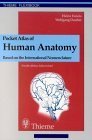 Beispielbild fr Pocket Atlas of Human Anatomy : Based on the International Nomenclature zum Verkauf von Better World Books