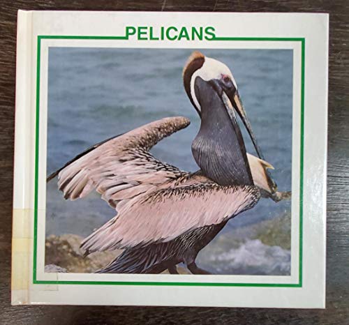 Beispielbild fr Pelicans : Bird Discovery zum Verkauf von Better World Books