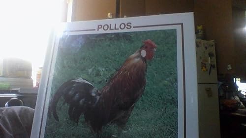 Pollos (Spanish Edition) (9780865929494) by Stone, Lynn M.