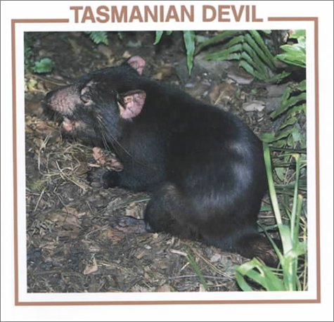 Imagen de archivo de Tasmanian Devil (Australian Animal Discovery Library) a la venta por SecondSale