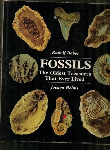 Beispielbild fr Fossils the Oldest Treasures That Ever Lived zum Verkauf von Better World Books
