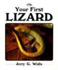 Your First Lizard (Your First Series) (9780866220682) by Walls, Jerry G.