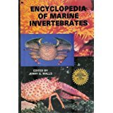 Beispielbild fr The Encyclopedia of Marine Invertebrates zum Verkauf von HPB-Red