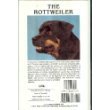 Stock image for The Rottweiler for sale by Wonder Book