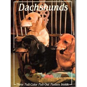 Stock image for Dachshunds-Poster Book for sale by ThriftBooks-Atlanta