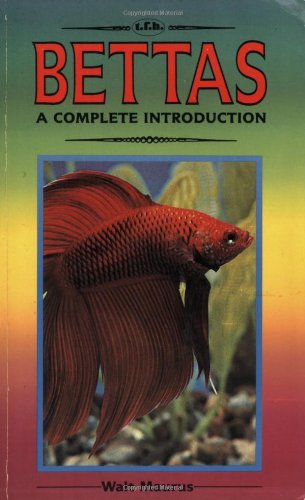 Stock image for Bettas: A Complete Introduction for sale by Black and Read Books, Music & Games