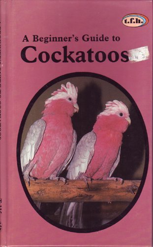 Beginner's Guide to Cockatoos