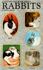 Stock image for A Step-by-Step Book about Rabbits (Step-by-Step Ser.) for sale by Thomas F. Pesce'