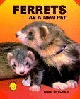 FERRETS AS A NEW PET.