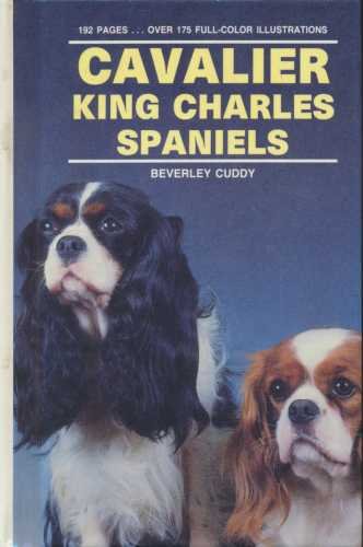 Cavalier King Charles Spaniels.